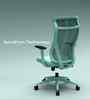 The Novice Premium Ergonomic Chair In Ice Green Colour