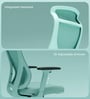The Novice Premium Ergonomic Chair In Ice Green Colour The Novice Premium Ergonomic Chair In Ice Green Colour