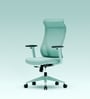 The Novice Premium Ergonomic Chair In Ice Green The Novice Premium Ergonomic Chair In Ice Green