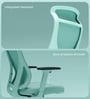 The Novice Premium Ergonomic Chair In Ice Green The Novice Premium Ergonomic Chair In Ice Green