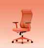 The Novice Premium Ergonomic Chair In Spiced Orange Colour