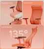 The Novice Premium Ergonomic Chair In Spiced Orange Colour
