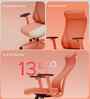 The Novice Premium Ergonomic Chair In Spiced Orange Colour
