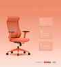 The Novice Premium Ergonomic Chair In Spiced Orange Colour
