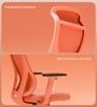 The Novice Premium Ergonomic Chair In Spiced Orange The Novice Premium Ergonomic Chair In Spiced Orange