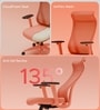 The Novice Premium Ergonomic Chair In Spiced Orange The Novice Premium Ergonomic Chair In Spiced Orange