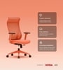 The Novice Premium Ergonomic Chair In Spiced Orange The Novice Premium Ergonomic Chair In Spiced Orange