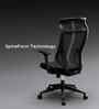 The Novice Premium Ergonomic Chair In True Black Colour