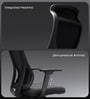 The Novice Premium Ergonomic Chair In True Black The Novice Premium Ergonomic Chair In True Black