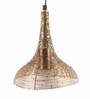 Ann Gold Metal Hanging Light