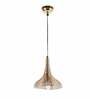 Ann Gold Metal Hanging Light