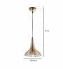 Ann Gold Metal Hanging Light