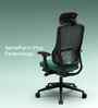 The Specialist Premium Ergonomic Chair In Sage Green Colour