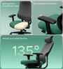 The Specialist Premium Ergonomic Chair In Sage Green Colour