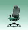The Specialist Premium Ergonomic Chair In Sage Green Colour
