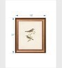 The Vintage Artistry Brown & Greenbirds Wall Painting With Frame