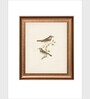 The Vintage Artistry Brown & Greenbirds Wall Painting With Frame