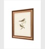 The Vintage Artistry Brown & Greenbirds Wall Painting With Frame