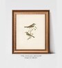 The Vintage Artistry Brown & Greenbirds Wall Painting With Frame