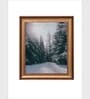 The Vintage Artistry Grey & Gold-Toned Fog In Norwegian Forest Framed Painted Wall Art