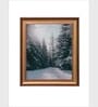 The Vintage Artistry Winter Pine Trees Wall Art