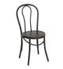 Thonet Metal Cafe Chairs in Matte Brown Colour (Set Of 2)