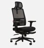 Majesty Ergonomic Chair in Black Colour