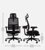 Majesty Ergonomic Chair in Black Colour