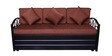 Timlin Queen Size Pull-Out Sofa Cum Bed with Storage in Matte Black Finish