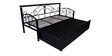 Timlin Queen Size Pull-Out Sofa Cum Bed with Storage in Matte Black Finish
