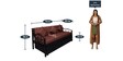 Timlin Queen Size Pull-Out Sofa Cum Bed with Storage in Matte Black Finish