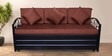 Timlin Queen Size Pull-Out Sofa Cum Bed with Storage in Matte Black Finish
