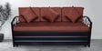 Timlin Queen Size Pull-Out Sofa Cum Bed with Storage in Matte Black Finish