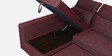 Tivoli Fabric RHS Pull-Out Sofa Cum Bed in Wine Red Colour with Storage