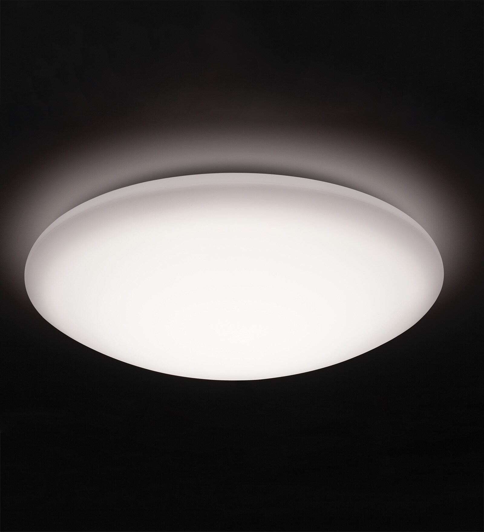Buy Tisva White Steel Elysian Ceiling Light Online Flush Mounts