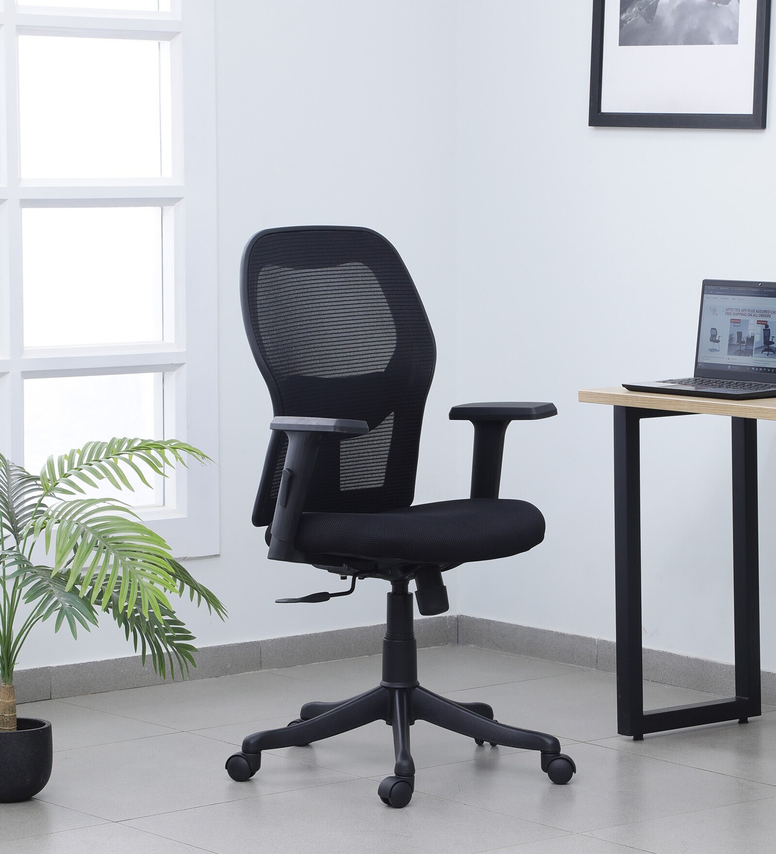 Titan Mid Back Ergonomic Chair in Black Colour