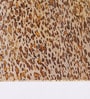 Tigris Brown Glass Hanging Lamp