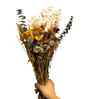 Timeless Petal Multicolor Dried Flower Bunch