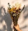 Timeless Petal Multicolor Dried Flower Bunch