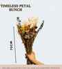 Timeless Petal Multicolor Dried Flower Bunch