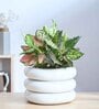 Tiny Kisses White 2 layer Ceramic Planter