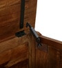 Tishya Solid Wood Linen Trunk in Provincial Teak Finish