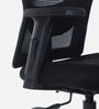 Titan Mid Back Ergonomic Chair in Black Colour