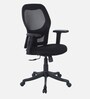 Titan Mid Back Ergonomic Chair in Black Colour