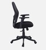 Titan Mid Back Ergonomic Chair in Black Colour