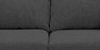 Tochi Fabric 2 Seater Sofa In Grey Colour