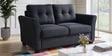 Tochi Fabric 2 Seater Sofa In Grey Colour