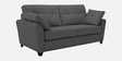Tochi Fabric 2 Seater Sofa In Grey Colour