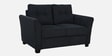 Tochi Fabric 2 Seater Sofa In Grey Colour