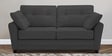 Tochi Fabric 2 Seater Sofa In Grey Colour